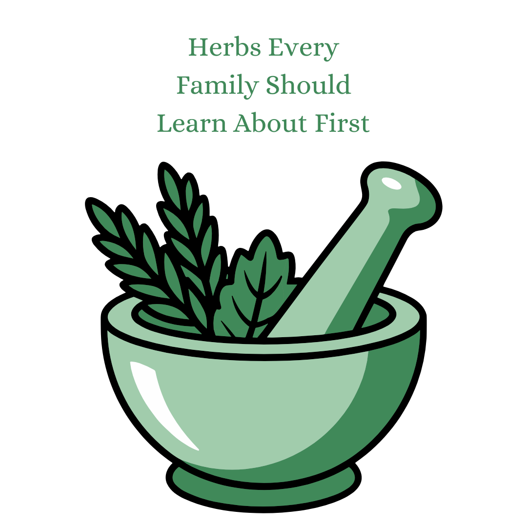 herbs every family should know